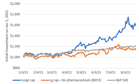 GS Portfolio LG CAp.png